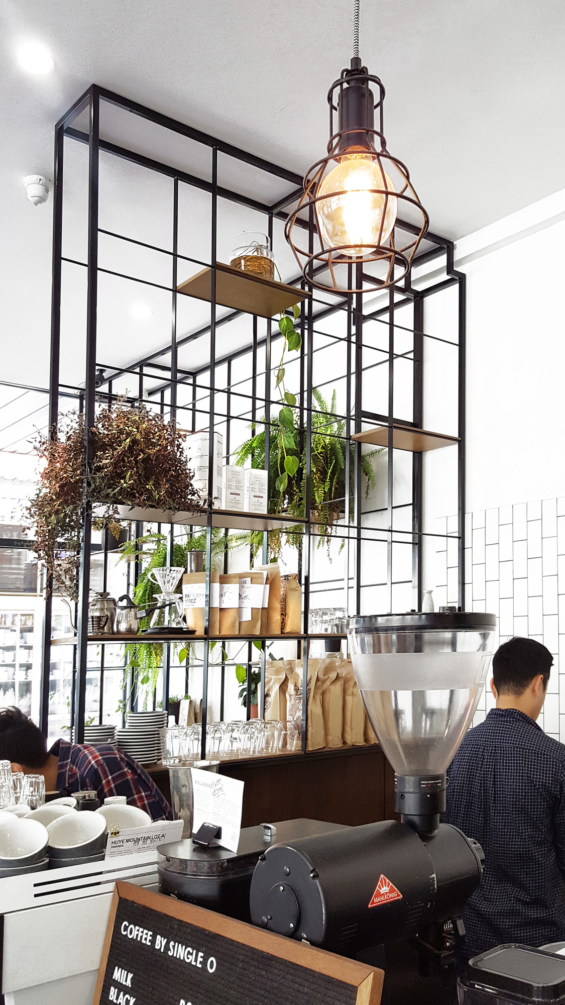 Basalt_Studio_Interior_Design_Designer_Architecture_Sydney_Restaurant_Cafe_Retail_Food_Green_Wall_Plants_Tiles_Minimal_Modern_Counter_Coffee_Timber1